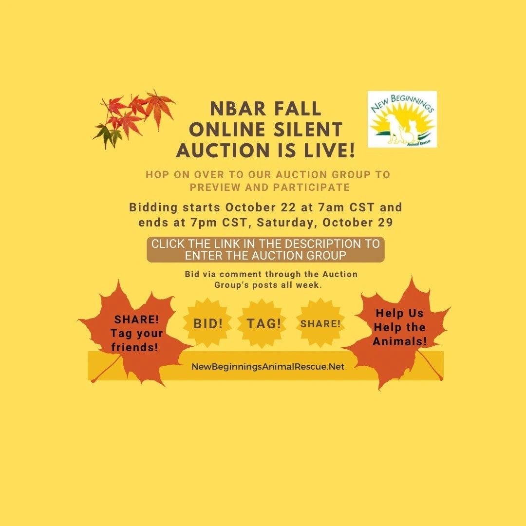 Events New Beginnings Animal Rescue